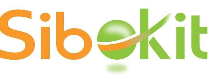 logo sibokit con sombras