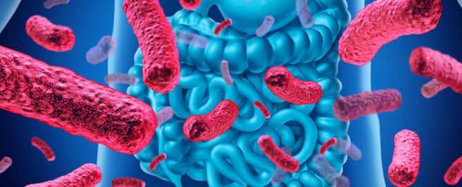microbiota saliendo del intestino