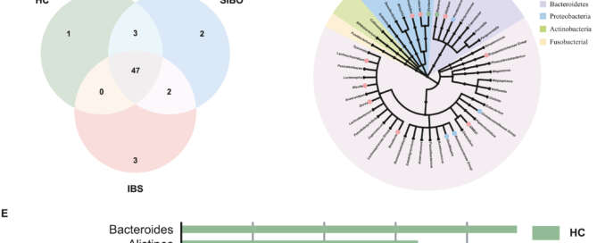 Estudio microbioma y síntomas SII y SIBO