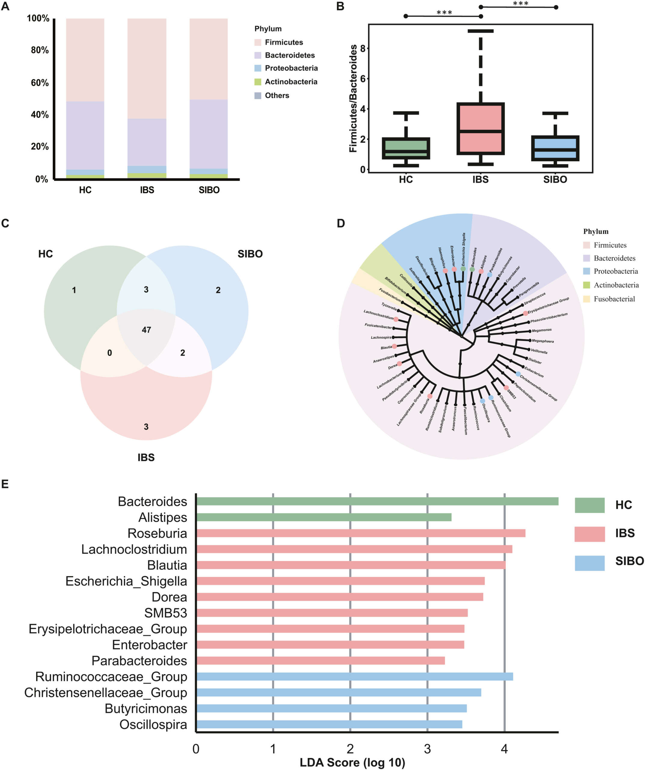 Estudio microbioma y síntomas SII y SIBO